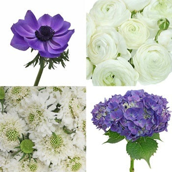 DIY Garden Flower Mother's Day Combo