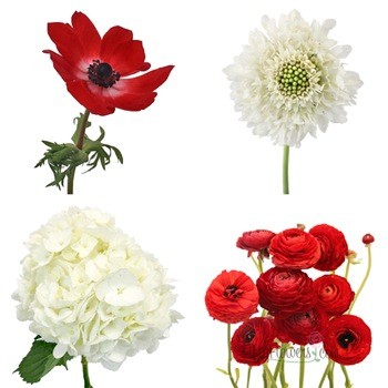 DIY Garden Flower Mother's Day Combo