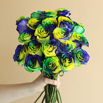 Mardi Gras Rainbow Roses