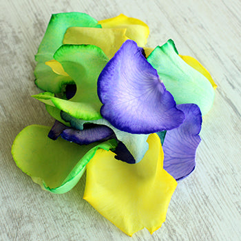 Mardi Gras Rainbow Roses