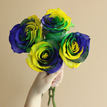 Mardi Gras Rainbow Roses