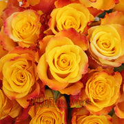 Ready To Go Wholesale Centerpieces Card