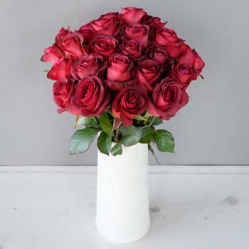 Magical Matilda Rose