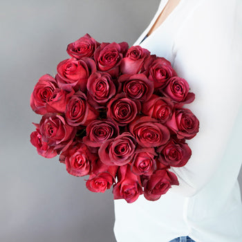 Magical Matilda Rose