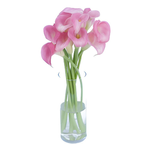Pink Calla Lily Flower