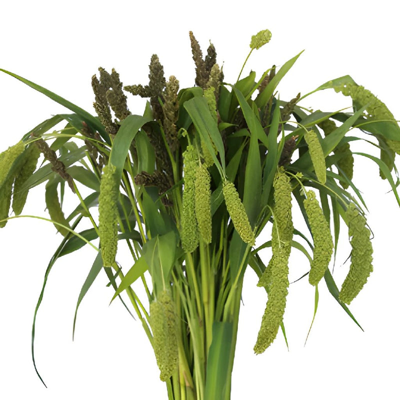 Wholesale greenery assorted millet bulk filler flowers bunch