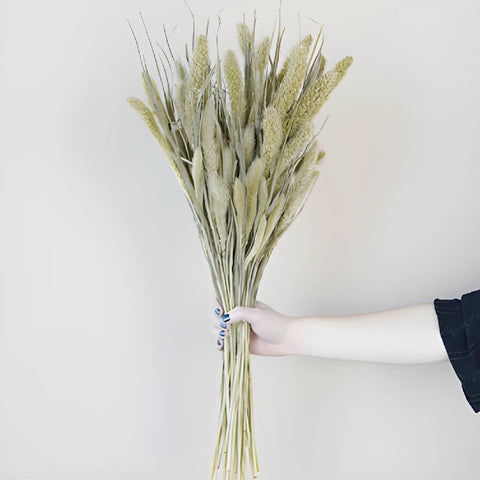 Dried Foxtail Millet Grasses
