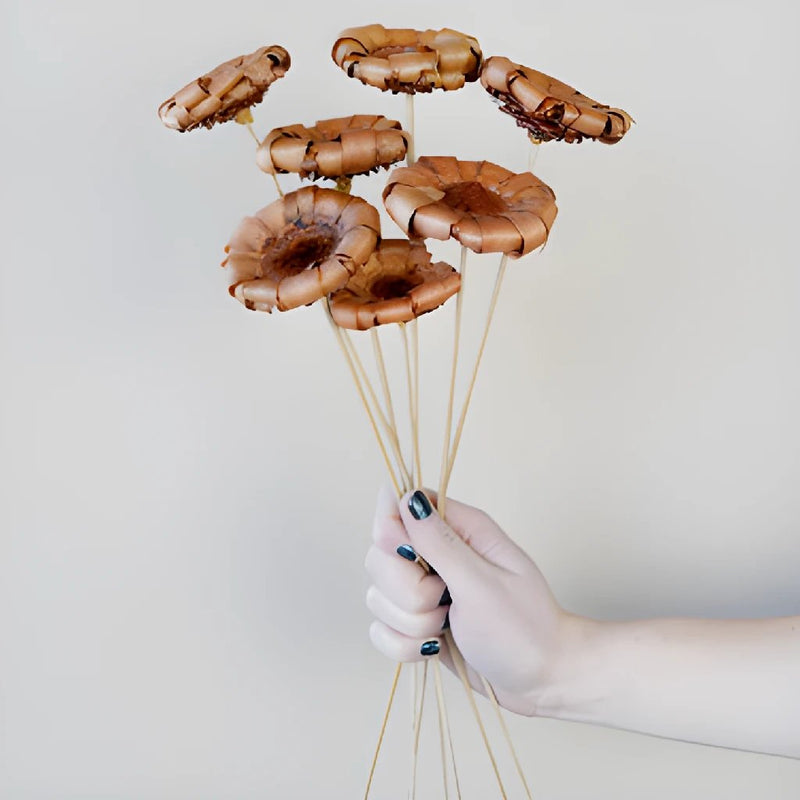 Mauve Dried Protea Crowns