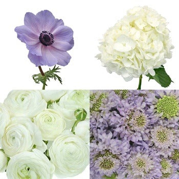 DIY Garden Flower Mother's Day Combo