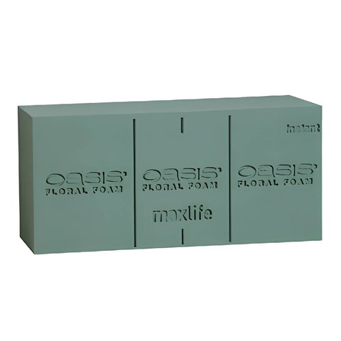 OASIS Instant Deluxe Floral Foam Bricks