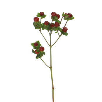 Antique Burgundy Designer Hypericum Berries