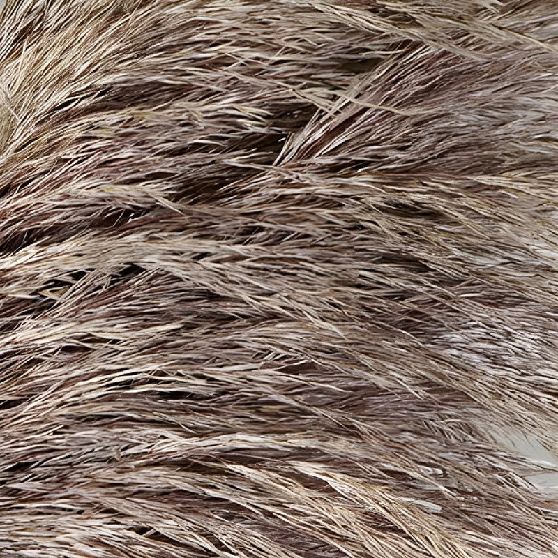 Wholesale greenery bulk pampas grass filler flowers sold near me for delivery