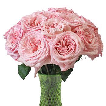 Valentine's Cherub Garden Roses