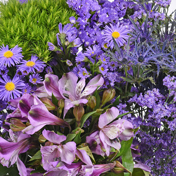 Bulk Lavender Flowers Mothers Day Pack