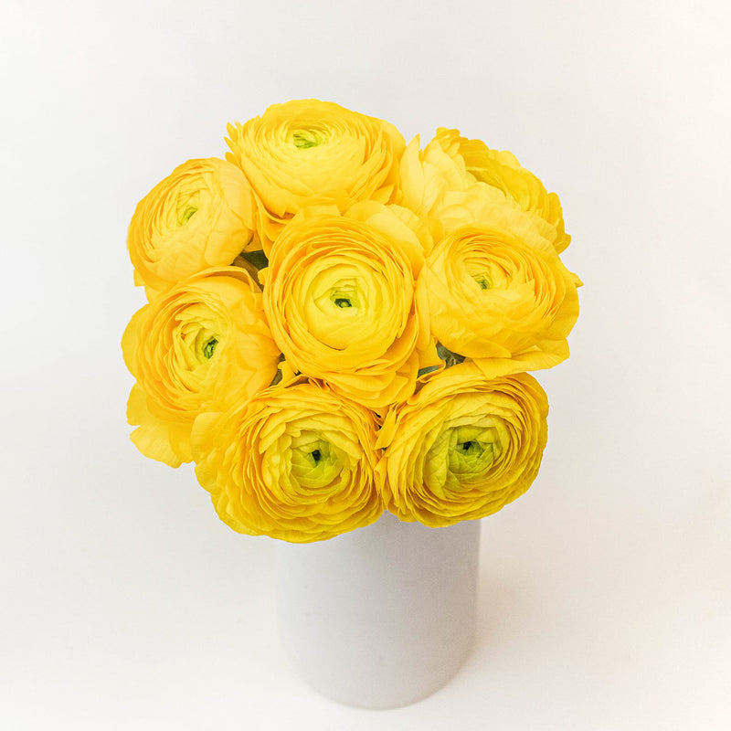 Yellow Ranunculus Wholesale Flower In a vase