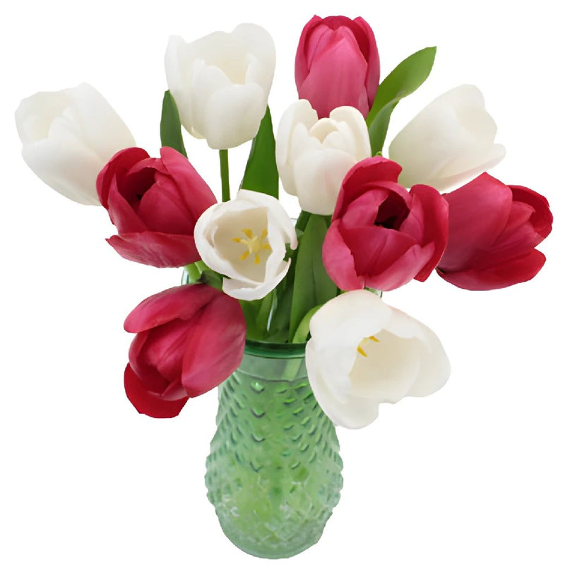 Love Pack Bulk Tulip Flowers
