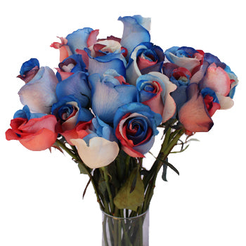 Patriotic Rainbow Roses Red, White and Blue