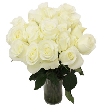 Akito White Bulk Rose