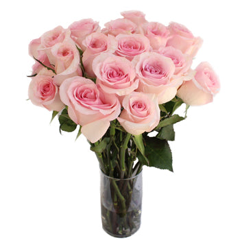 Fresh Cut Rose Sweet Pink