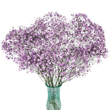 Lavender Airbrushed Baby's Breath