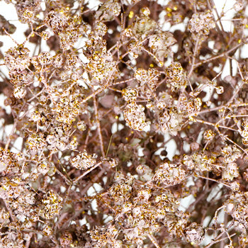 Baby's Breath Flower Rose Gold