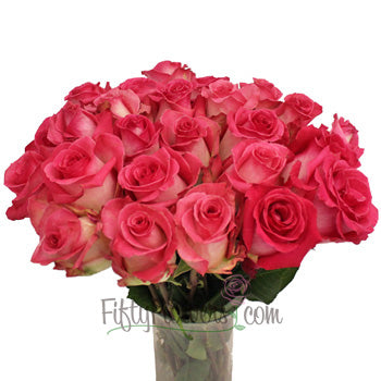 Verdi White and Pink Rose