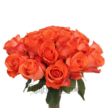 Wow Salmon Orange Bulk Rose