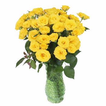 Yellow Spray Bulk Roses