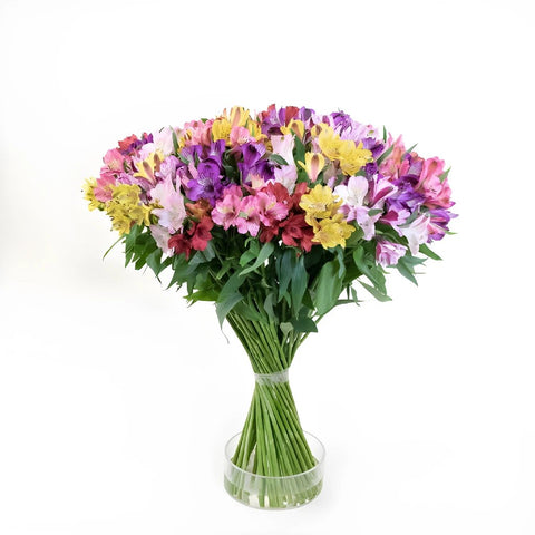 Spiral Alstroemeria Multicolor in a Vase