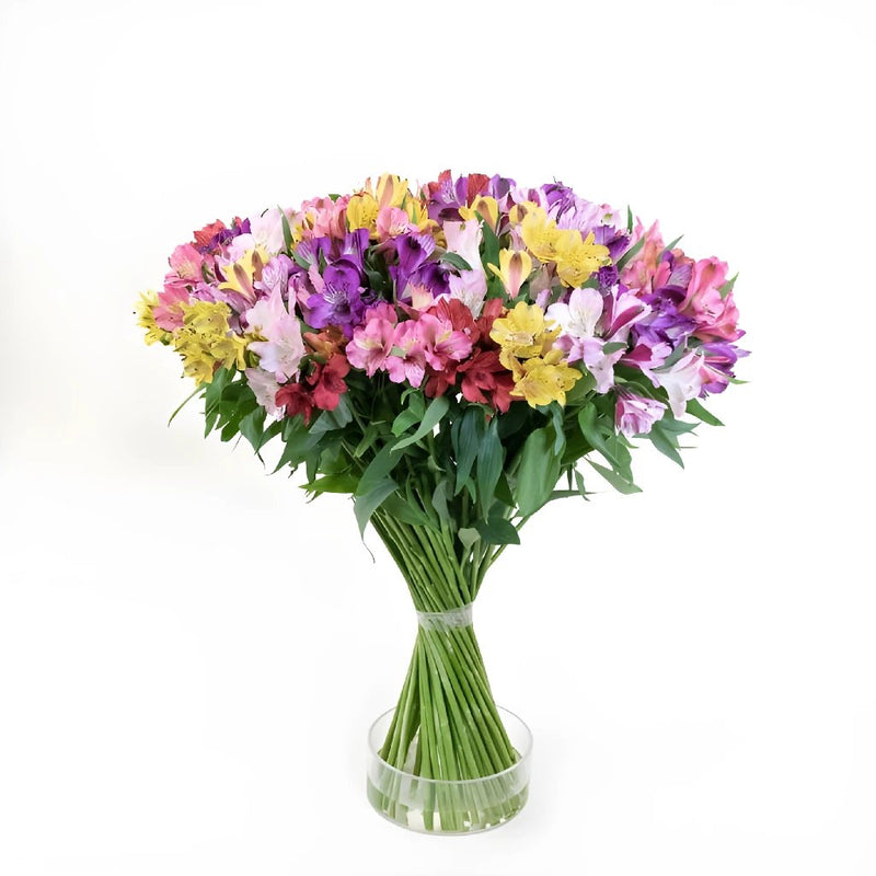 Spiral Alstroemeria Multicolor in a Vase
