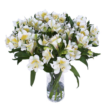 Yellow Sunbath alstroemeria Wholesale Flower In a vase