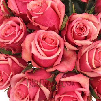 Antique Pink Murano Roses Up Close