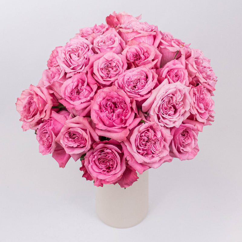 Art Deco Pink Roses in Vase