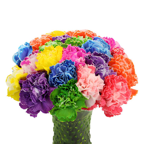 Assorted Dyed Farm Mix Carnation Flowers In a vase