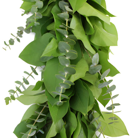 Baby Eucalyptus and Salal Garland Wholesale Up Close