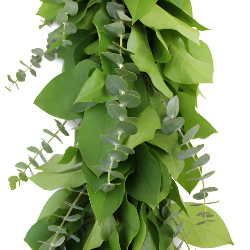 Baby Eucalyptus and Salal Garland Wholesale Up Close