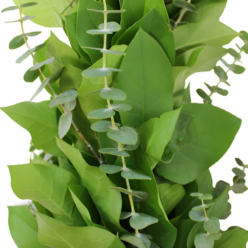 Baby Eucalyptus and Salal Greens Garland Wholesale Up Close