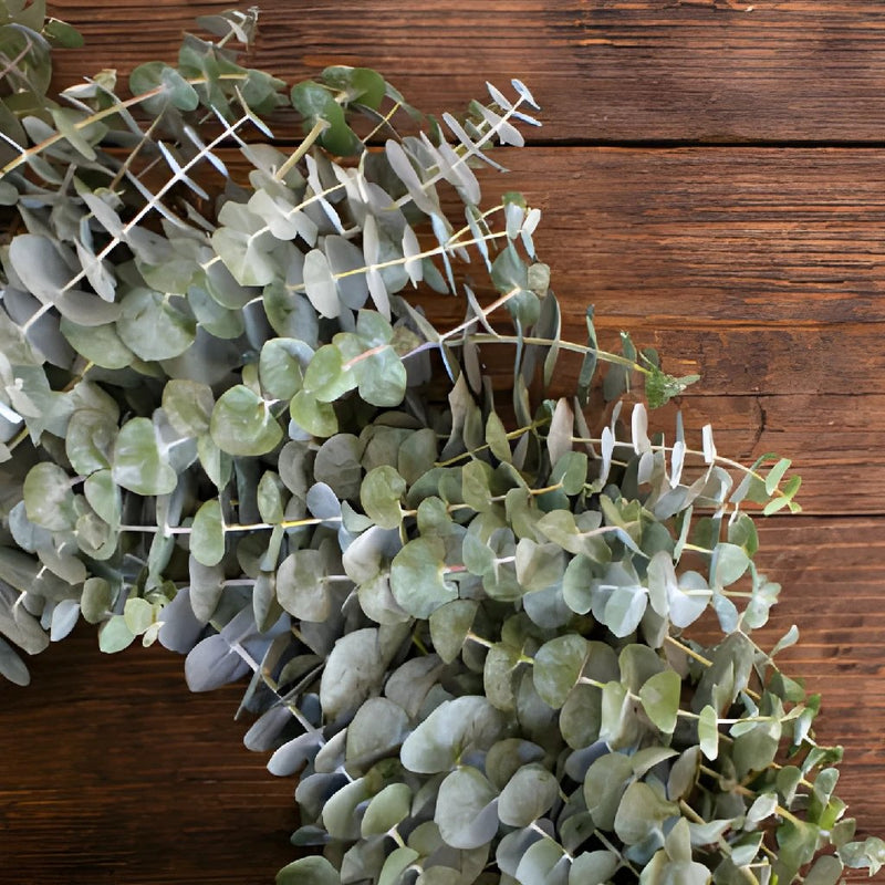 Baby Eucalyptus Wreath Delivery