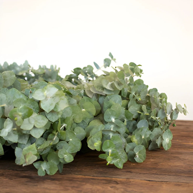 Baby Eucalyptus Wreath for Weddings
