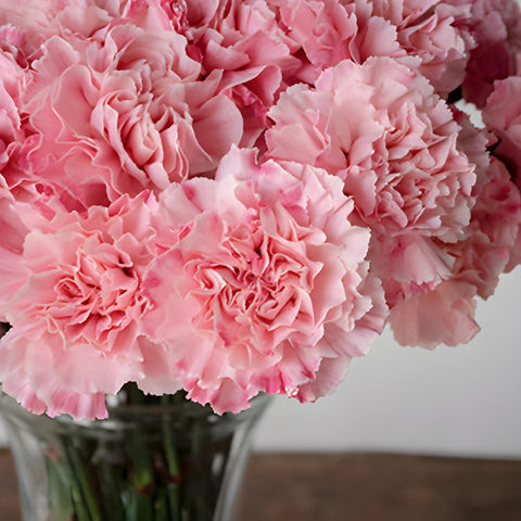 Baby Shower Pink Flower Carnation in a Vase Up Close