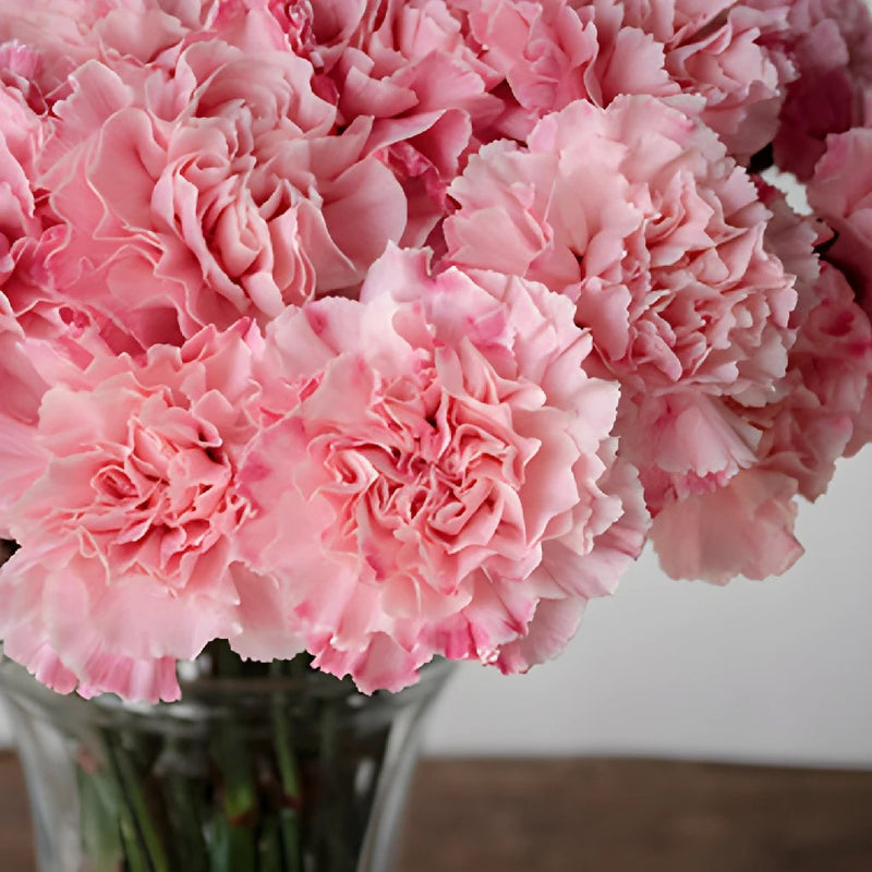 Baby Shower Pink Flower Carnation in a Vase Up Close