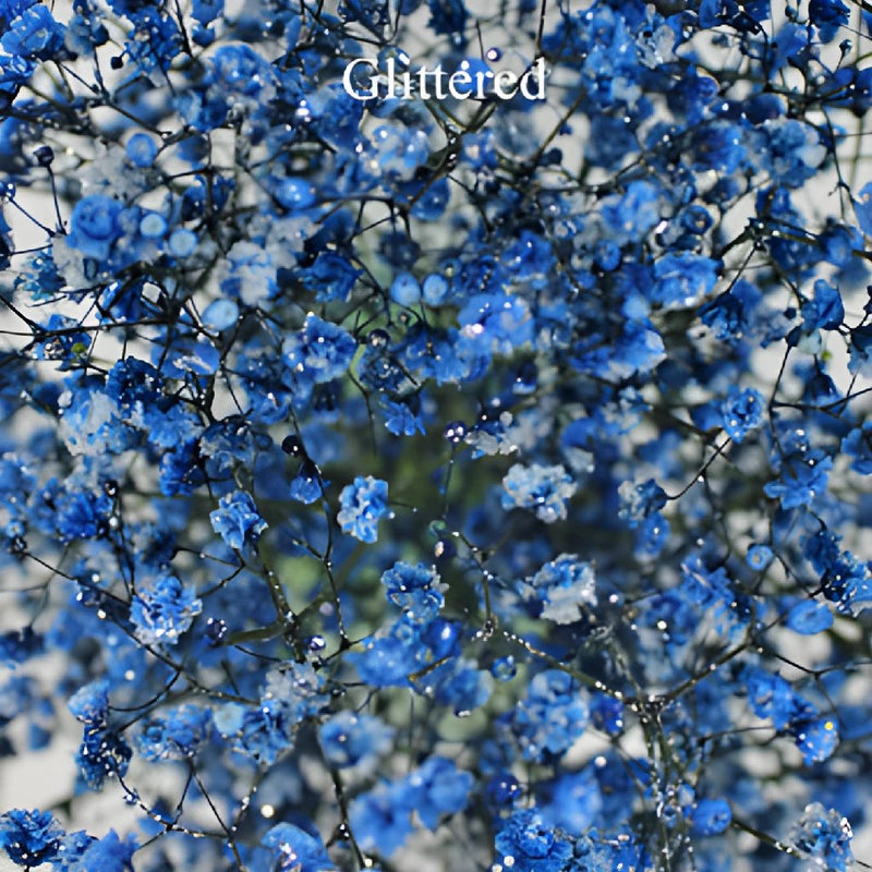 Blue Baby's Breath Flower