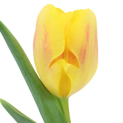 Ready To Go Wholesale Centerpieces Card