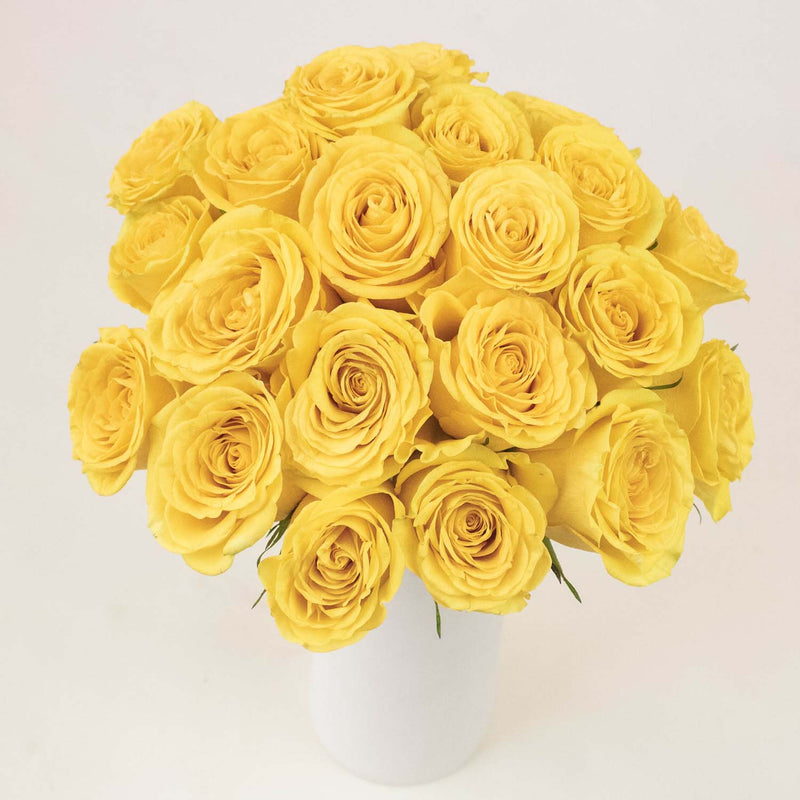Yellow Roses
