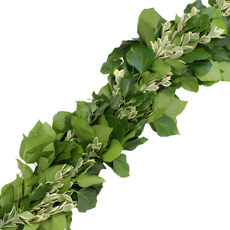 Bush Ivy and Euonymus Fresh Garland