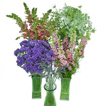 California Wildflowers DIY Flower Kit Up Close