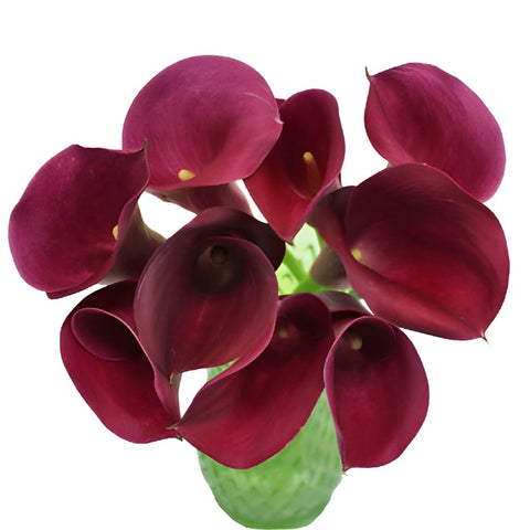 PurpleBerry Mini Calla Lily