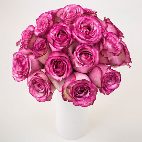 Carrousel Pink Wholesale Roses In a Vase