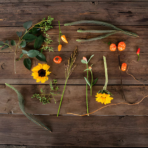 Chili Pepper Fall Flowers DIY Flower Kit Flatlay