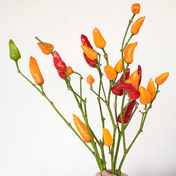 Bulk greenery chili pepper wholesale fall greens bunch sold for delivery